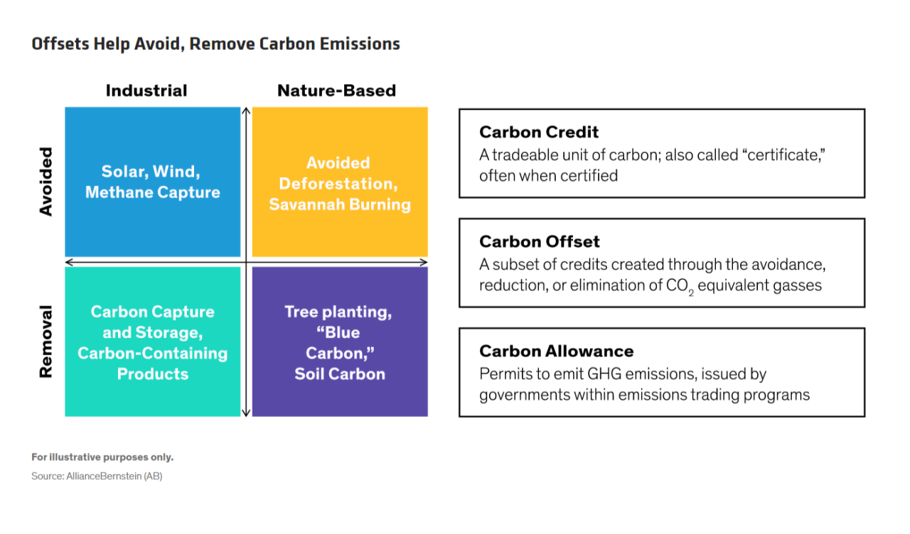 info graphic about how Offsets Help Avoid, Remove Carbon Emissions