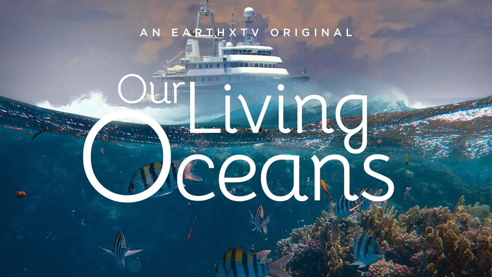 Illustration of the ocean with sea life all around reads: Our Living Oceans