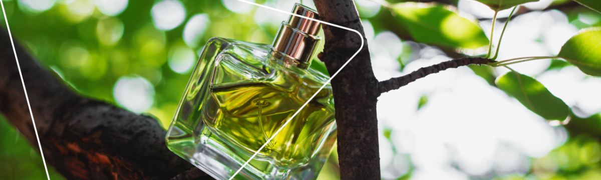 A bottle of perfume in between tree branches.