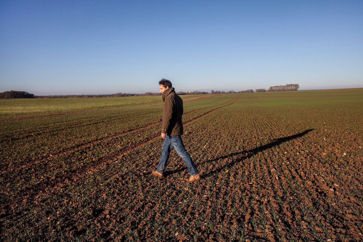 wheat farmer using practices to improve biodiversity