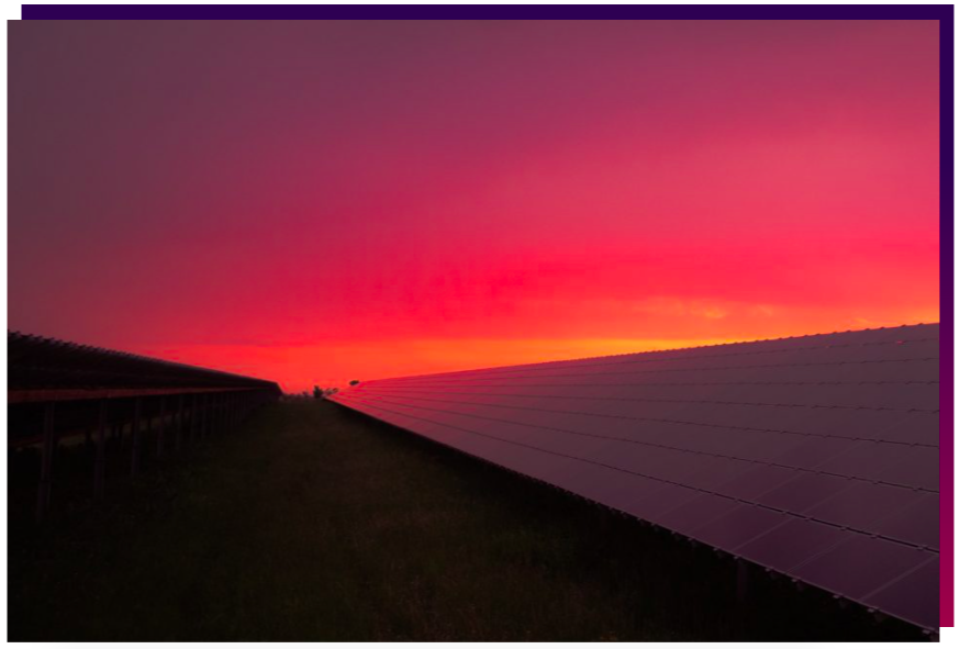 Pink sky sunset over solar field