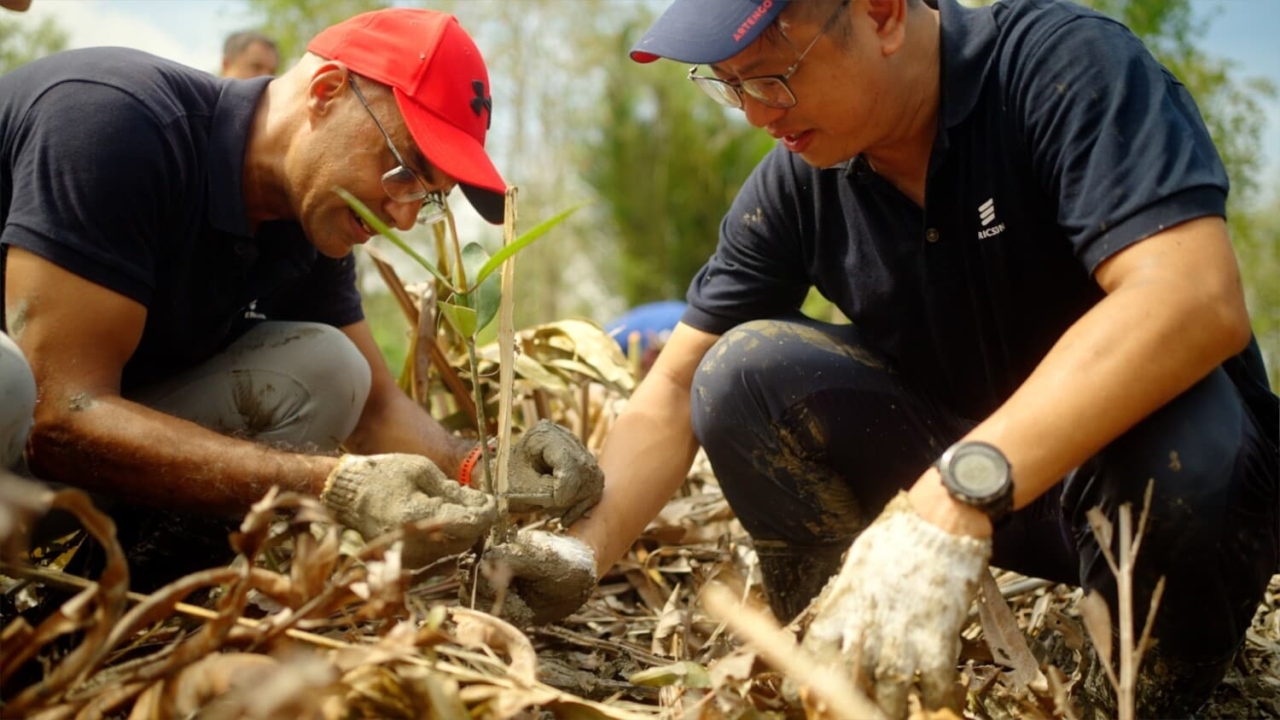 2 people planting