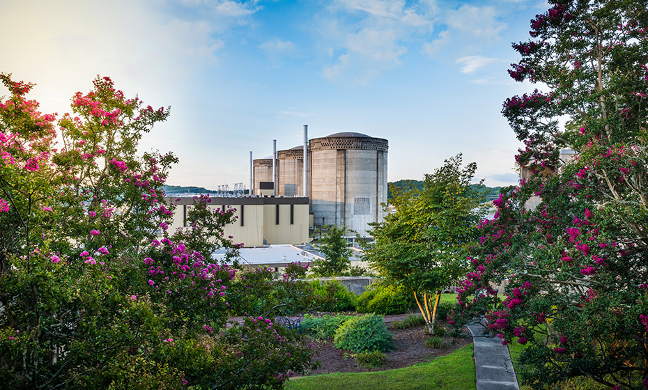 flowers with a powerplant in the background