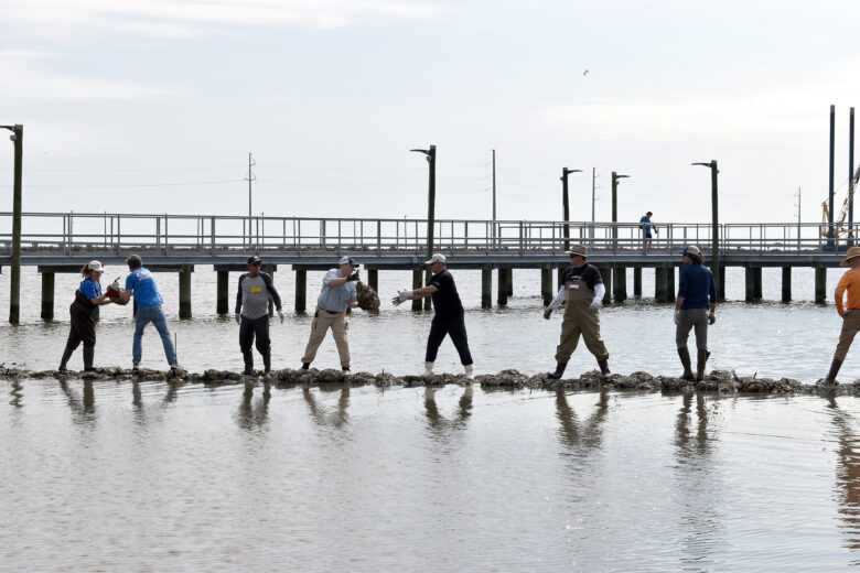 People helping to place sandbags