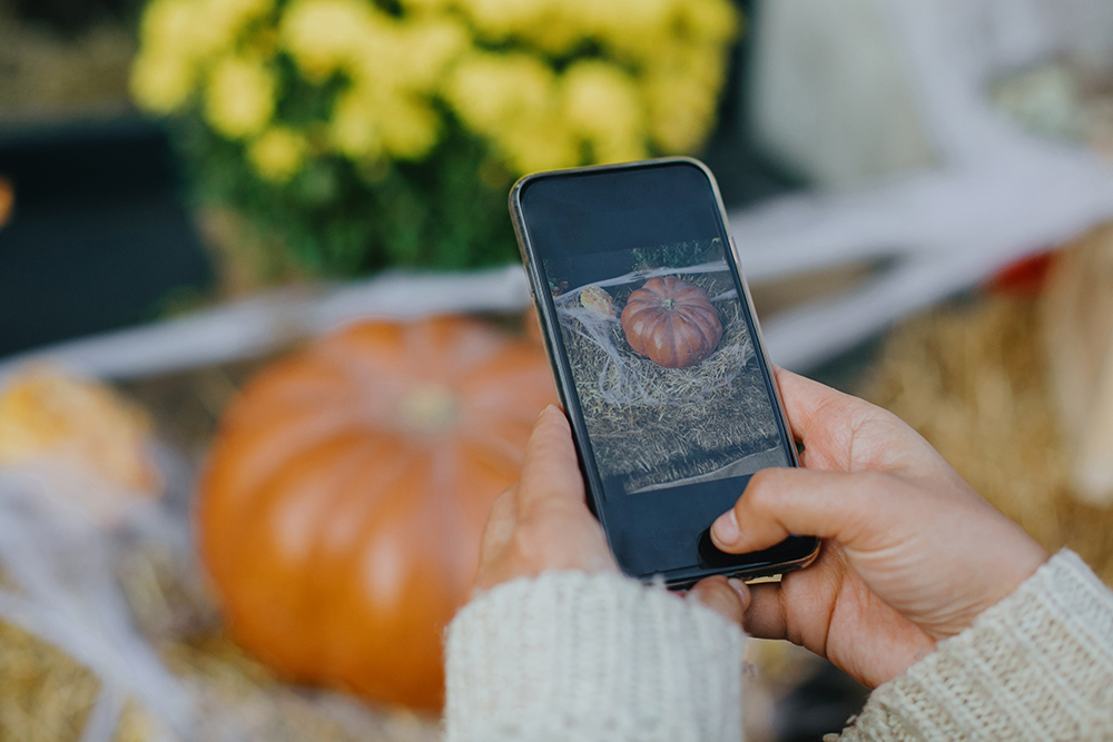 Someone taking a picture of a pumpkin on a cell phone
