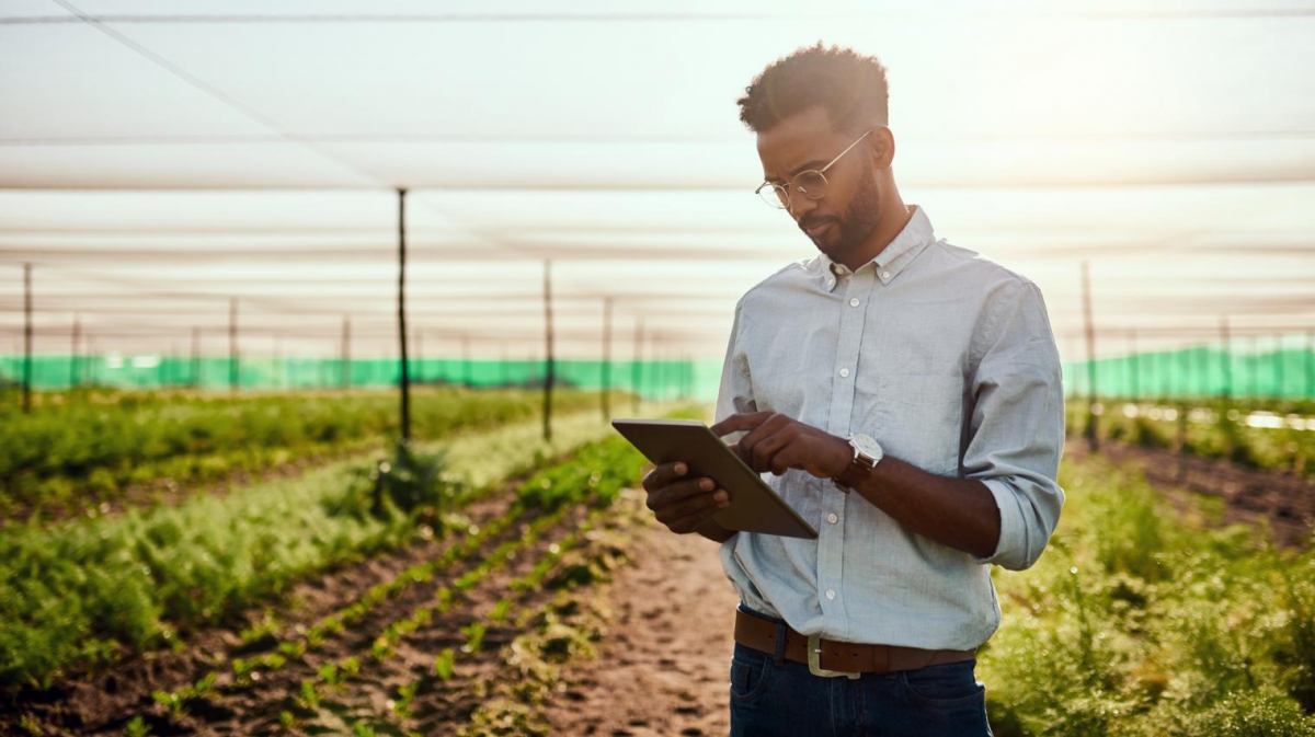 Person using tablet in a field