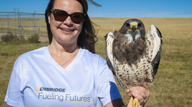 Alberta Birds of Prey Centre in Coaldale, Alberta