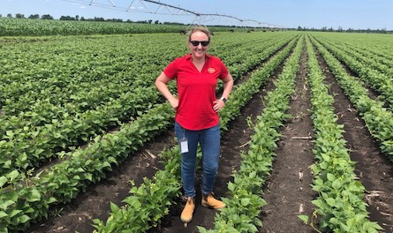 Molly Laverty, Del Monte Foods' Senior ESG Manager, in a field of the company's Blue Lake Green Beans