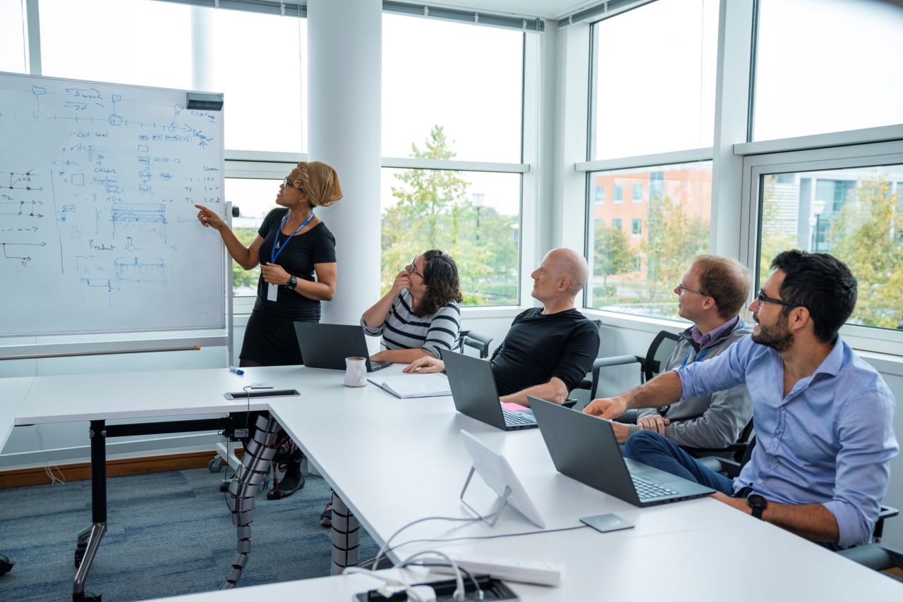 Employees in a conference room