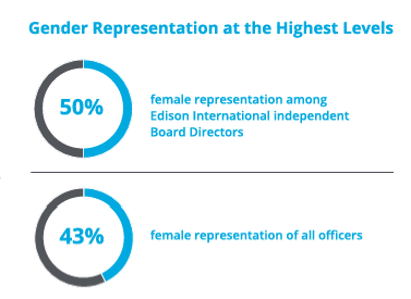 Info graphic "Gender Representation at the highest Levels". Two pie charts showing statistics.