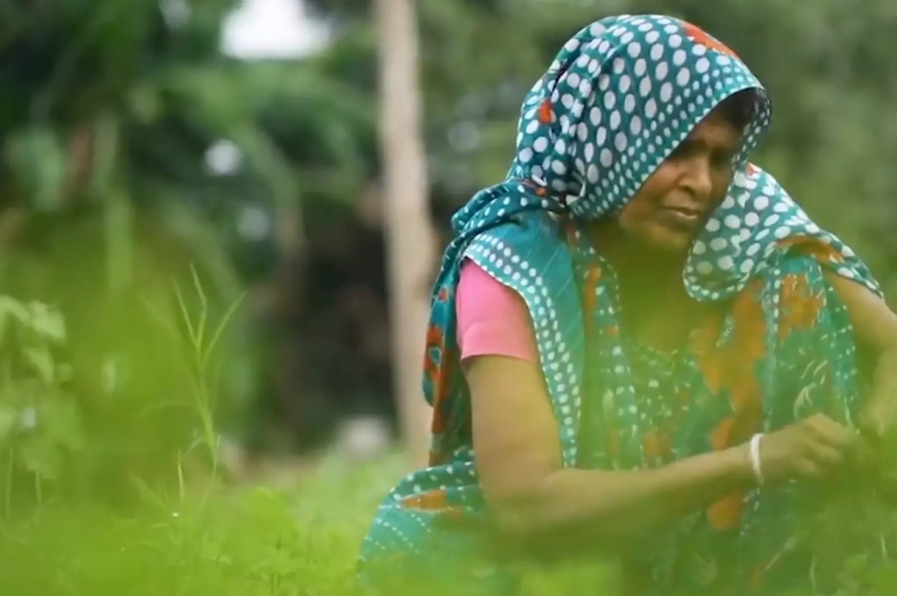 Woman in traditional South Asian clothing working in a field