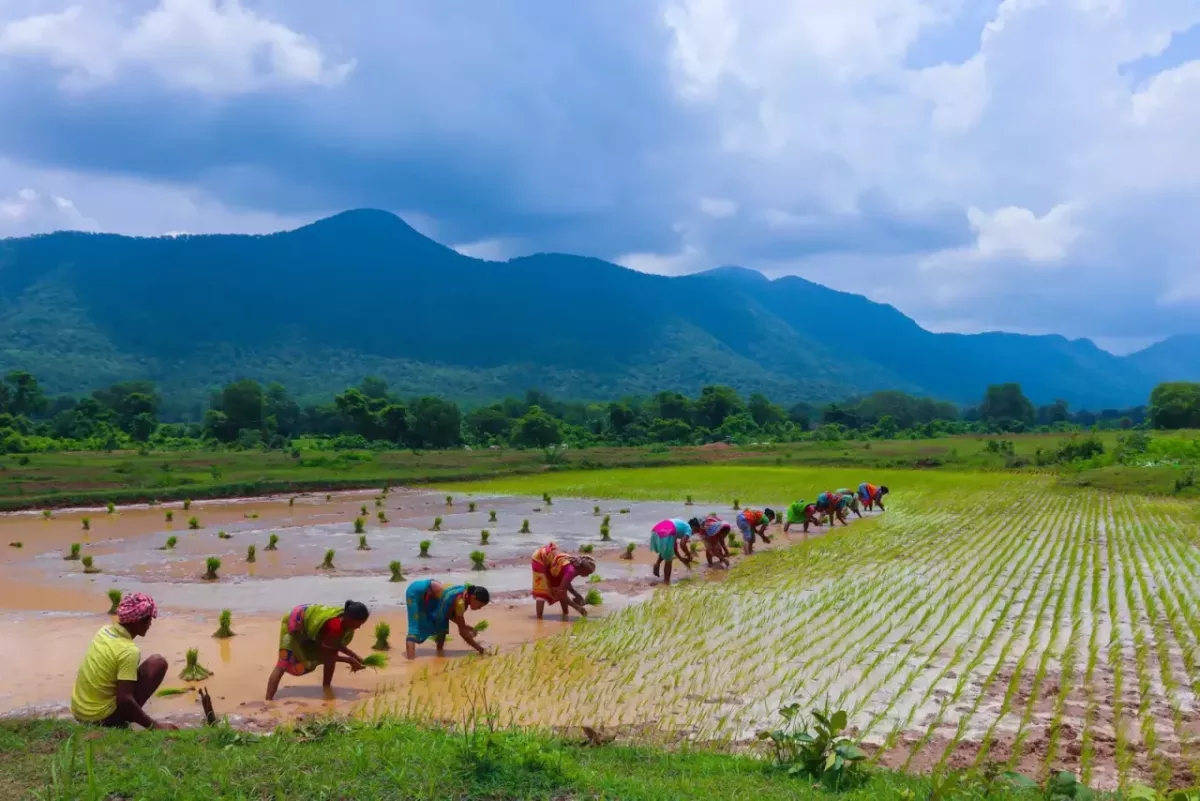 farmers at work