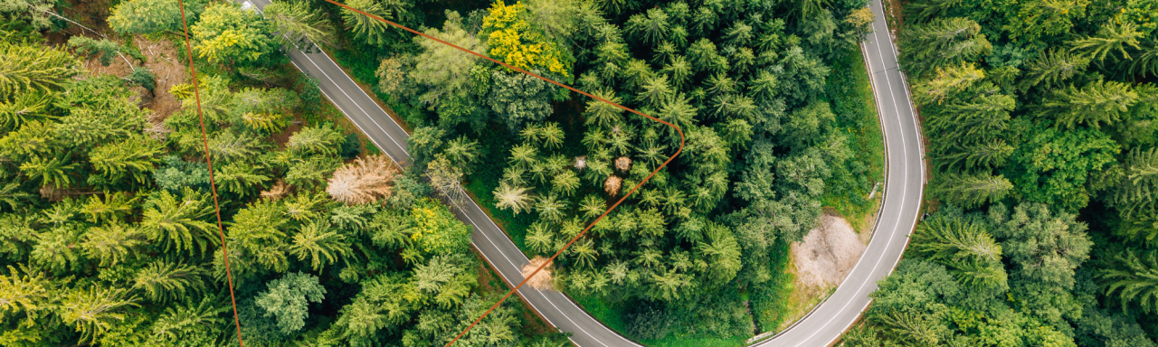 aerial view of a winding road through a forest