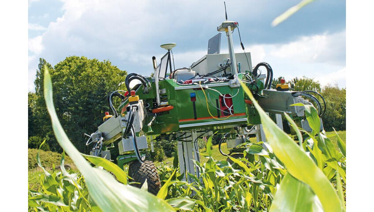 The first agrirobot-prototypes are already being tested: “Bonirob” can navigate a maize field and scan plants....