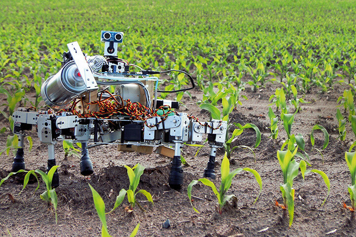 robot on the ground with crops