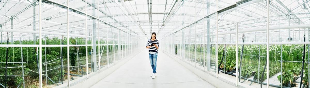 person walking through a greenhouse