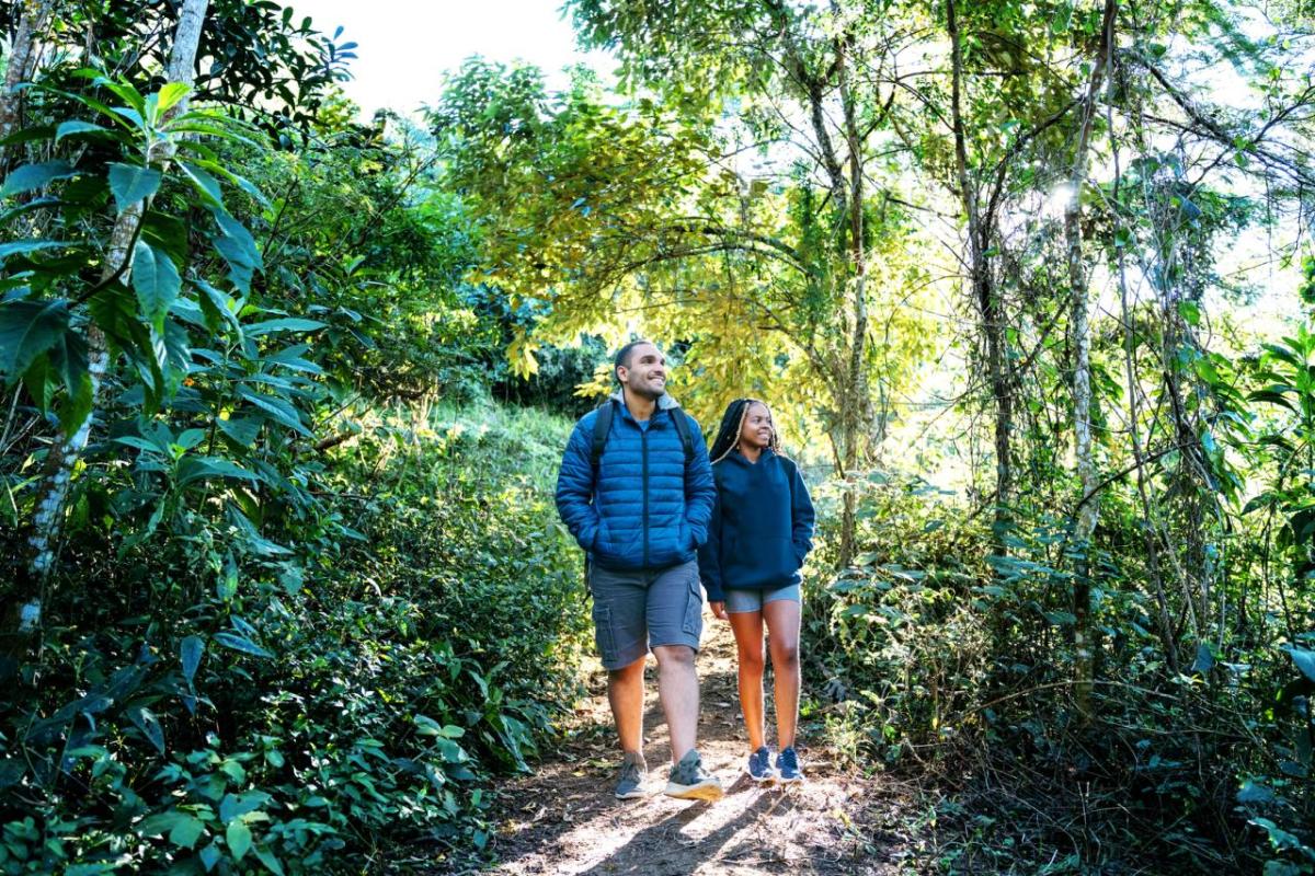 Two people walking in a lush forested area.
