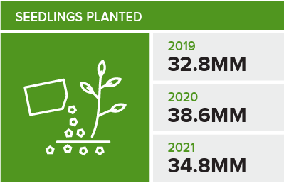 seedling chart