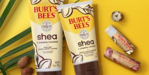 Burts Bees Lotions and Lip balms