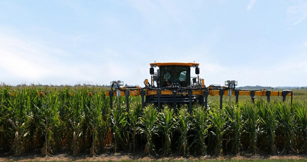 a tractor among short-stature corn