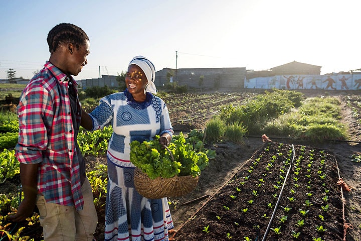 farmers working in the field