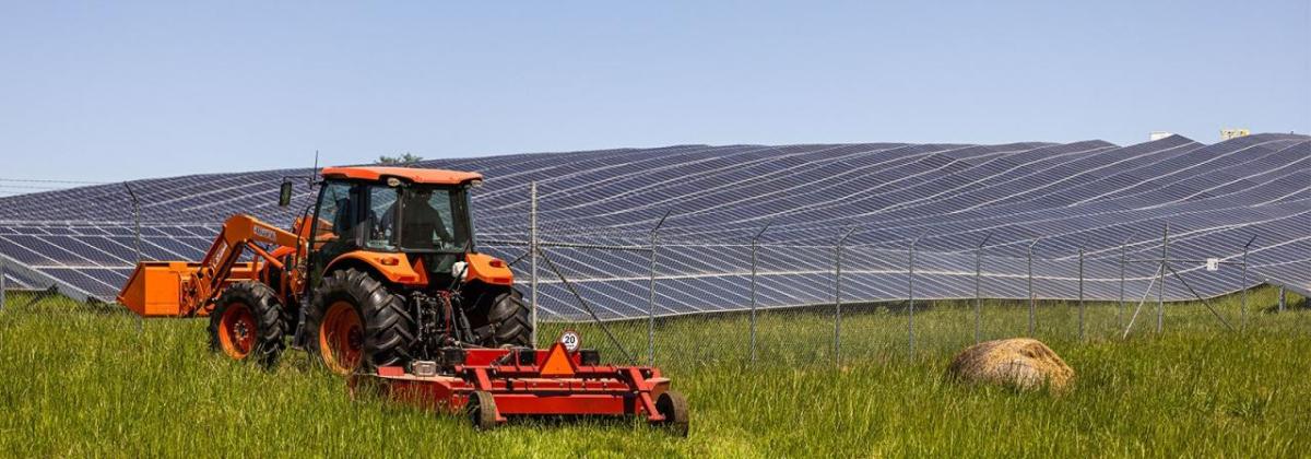 A large red tractor in a field next to large rows of solar panels.