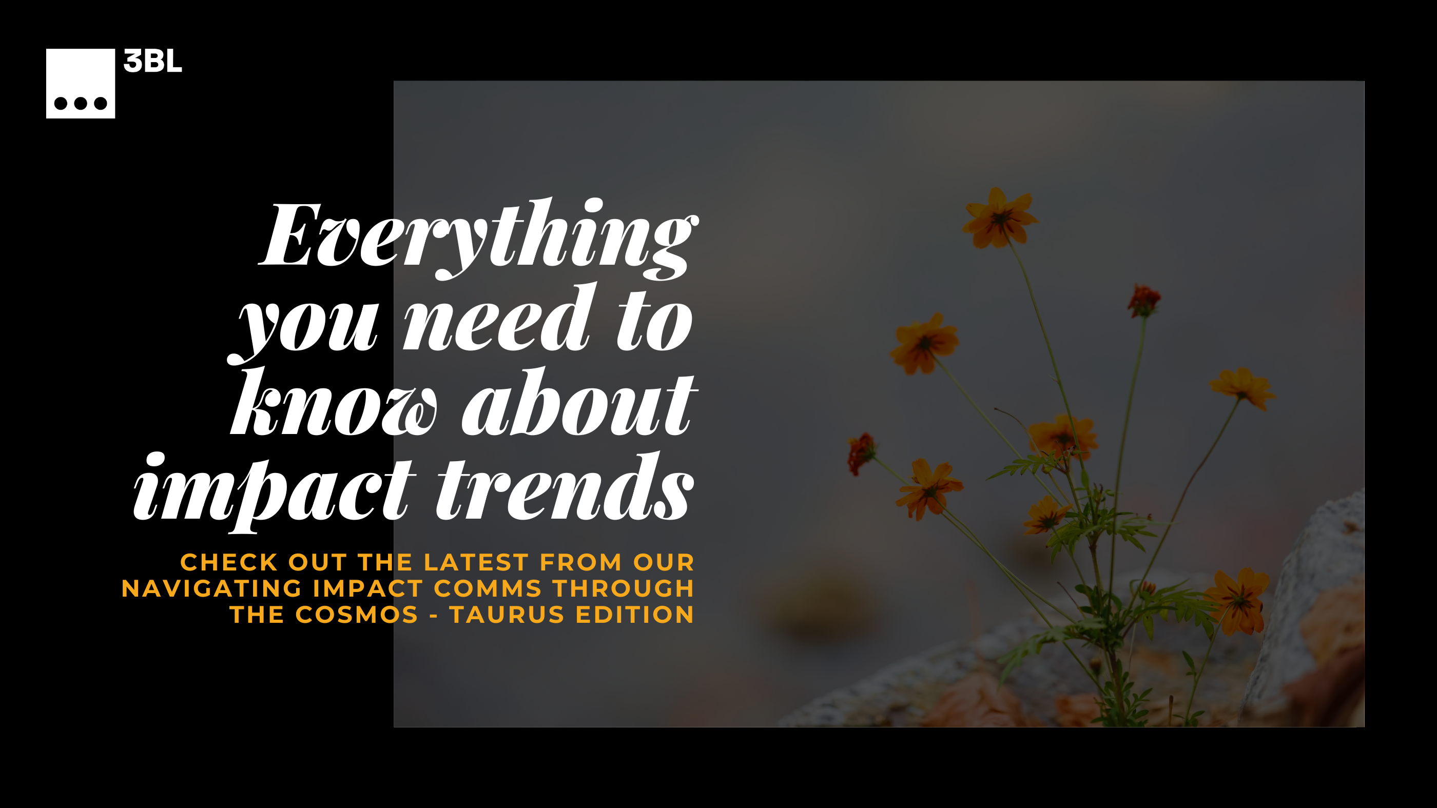Everything you need to know about impact trends: check out the latest from our Navigating Impact comms through the Cosmos - Taurus Edition