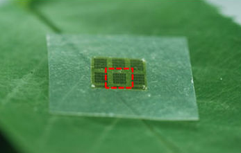  Bipolar transistors on a nanocellulose substrate