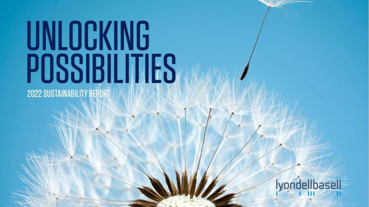 Close up of a dandelion with a seed flying off. "Unlocking possibilities 2022 Sustainability Report".