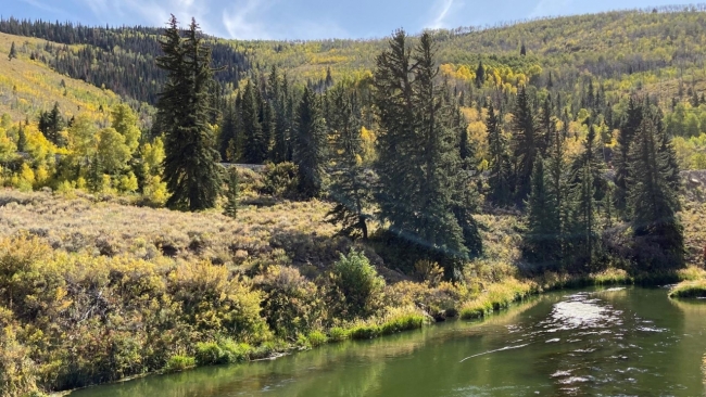 picture of a river and hills with trees