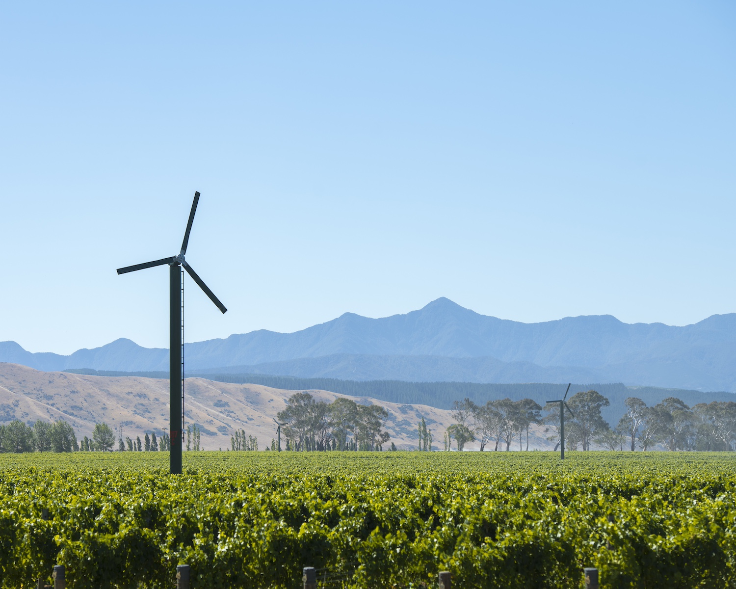 A wind turbine on a vineyard in Marlborough, New Zealand — sustainable wine