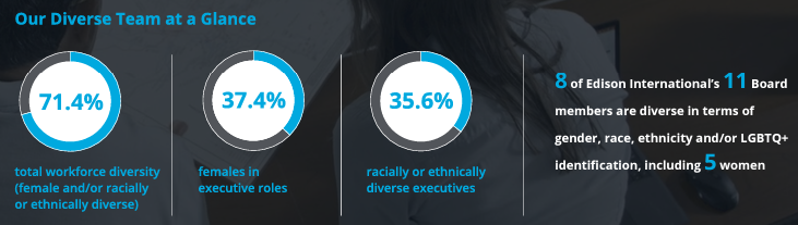 Our diverse team at a glance info graphic. Three pie charts with statistics.