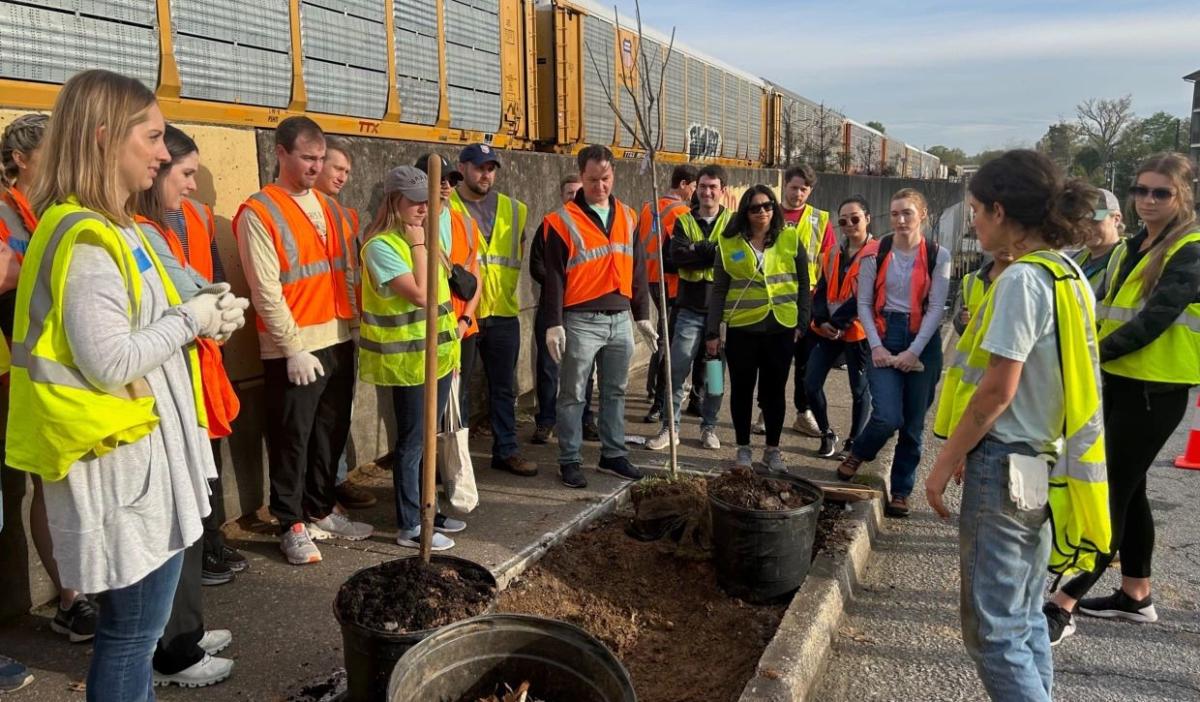 The Maker of Quilted Northern® Partners with Arbor Day Foundation® to Plant  Two Million Trees Across U.S. by End of 2021