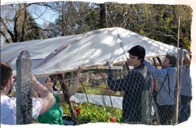 volunteers erecting a tent