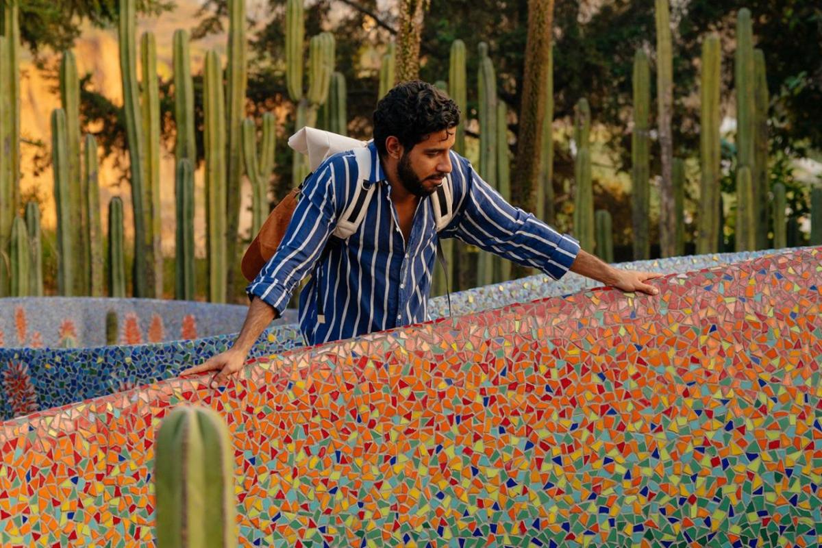 A person leaning over a colorful mosaic barrier. Cacti in the background.