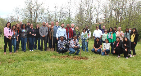 TCS employees volunteer to plant trees