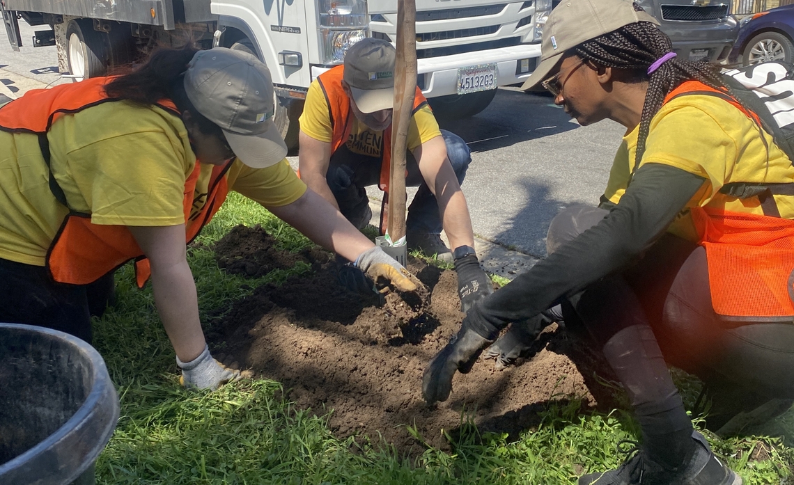 Volunteers planting trees in an easement.