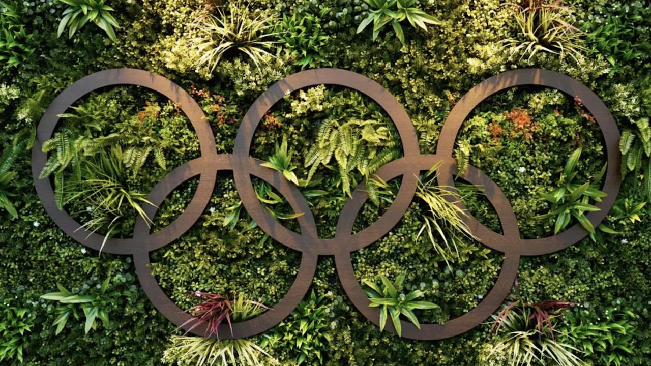 Olympic Rings amongst leaves