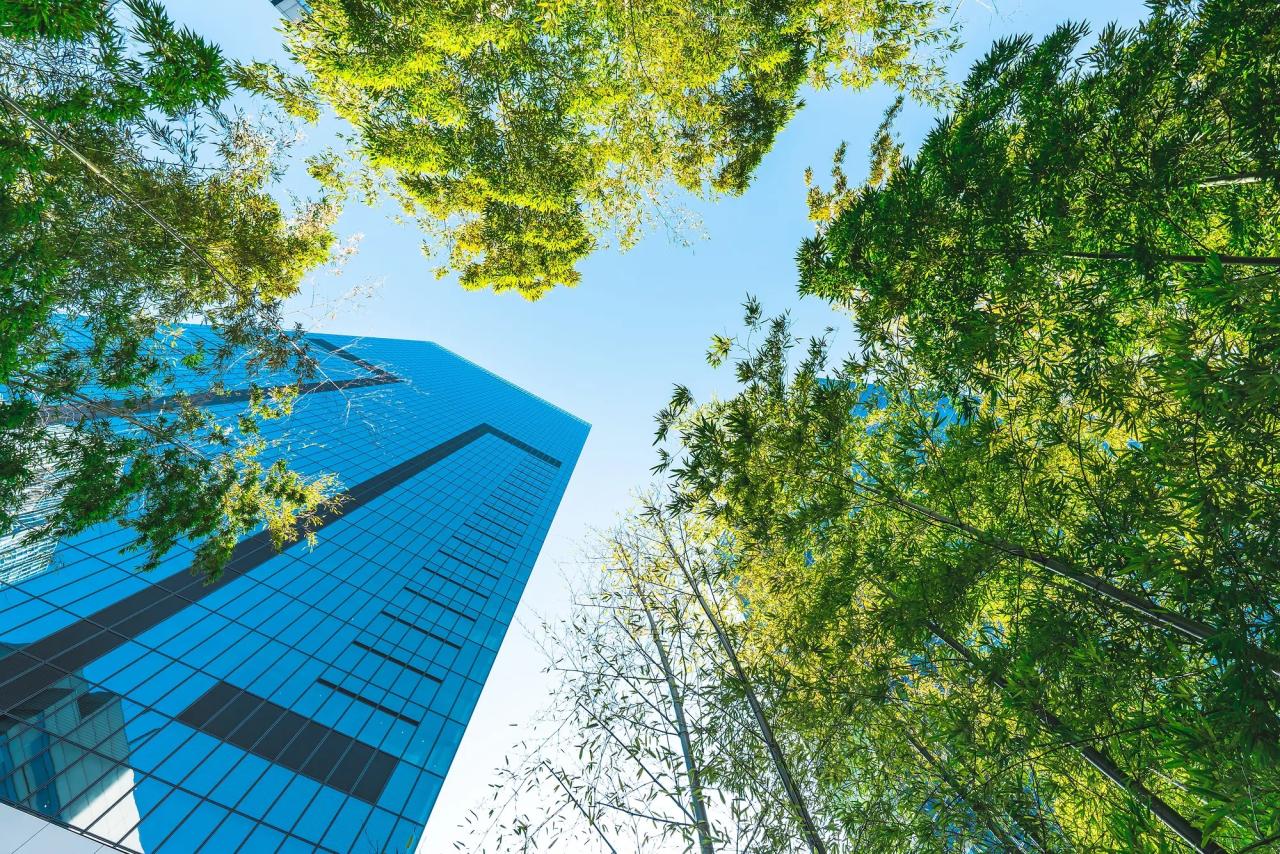 skyscrapers
