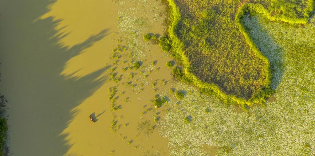Aerial view of a person in a small boat on a mucky waterway.
