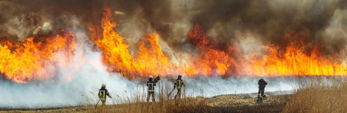 Four firefighters fighting a wildfire