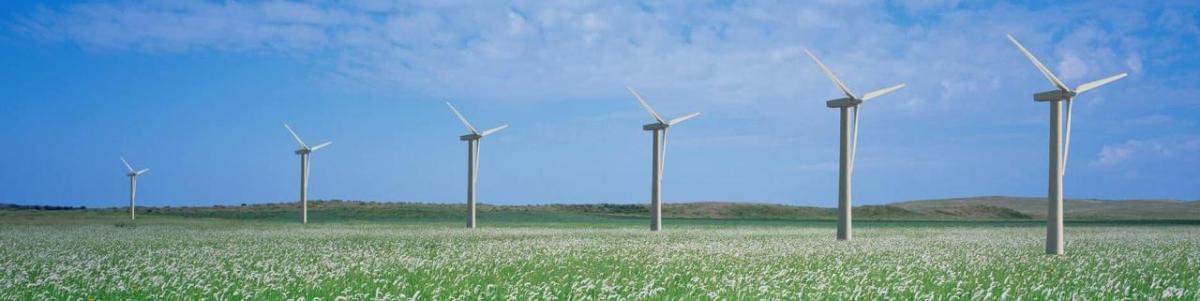 A row of wind turbines in an open field.