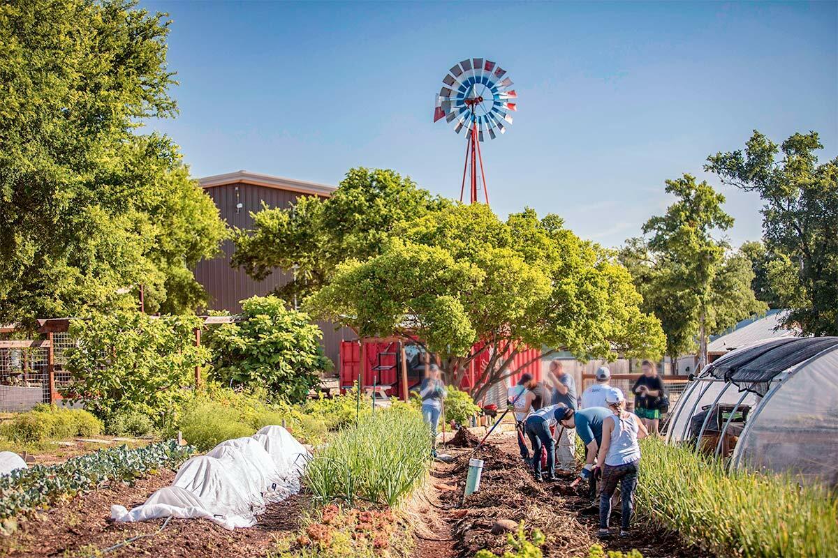 people working in a large garden, a small greenhouse to the right. A large weather vane in front.