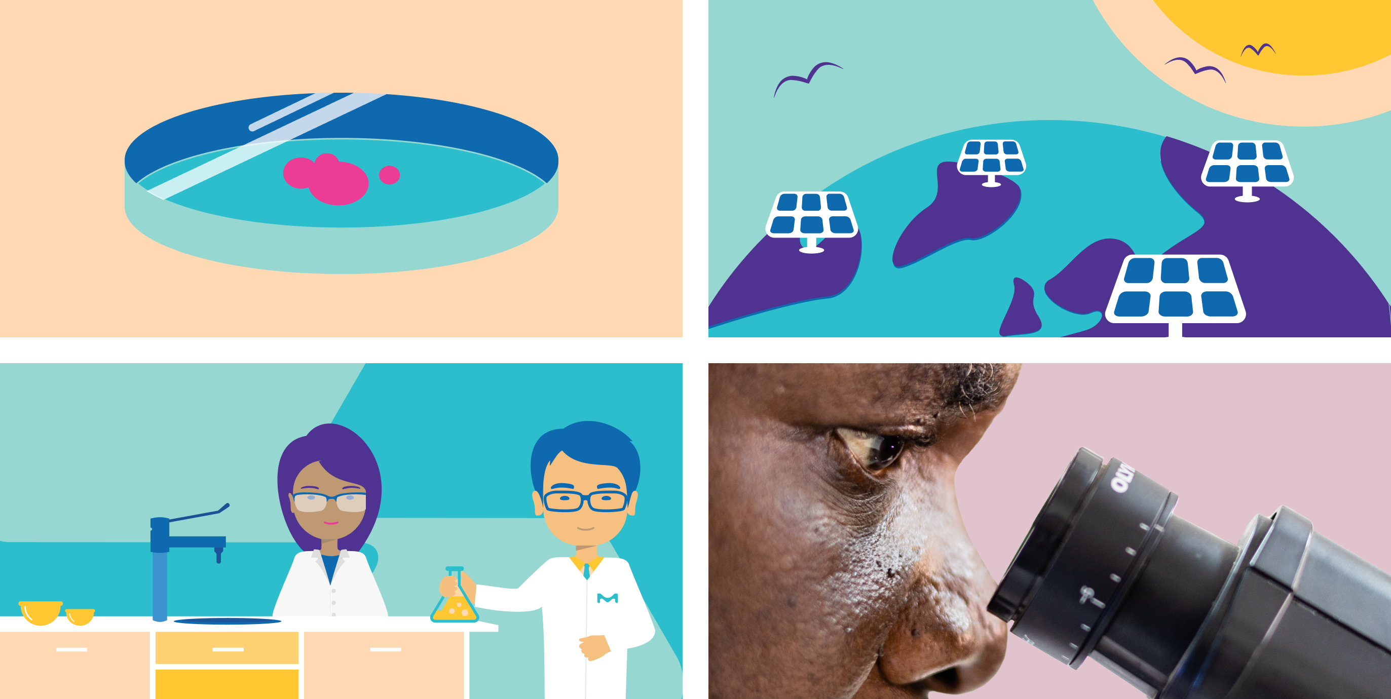 Four quadrants showing artistic representations of a Petri dish, solar panels, scientists in a lab, and a person looking into a microscope, respectively