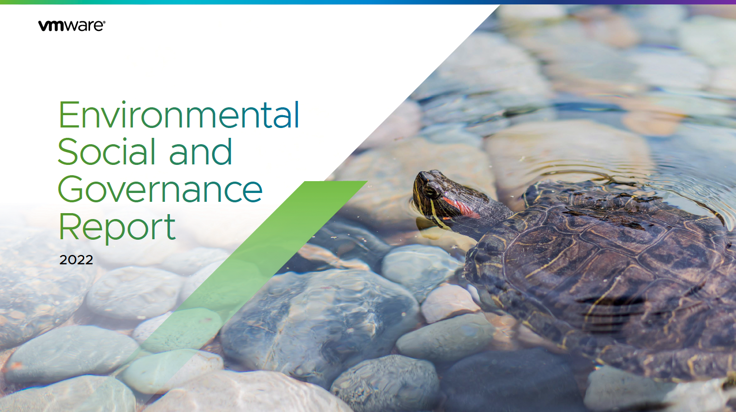 ESG report cover with turtle