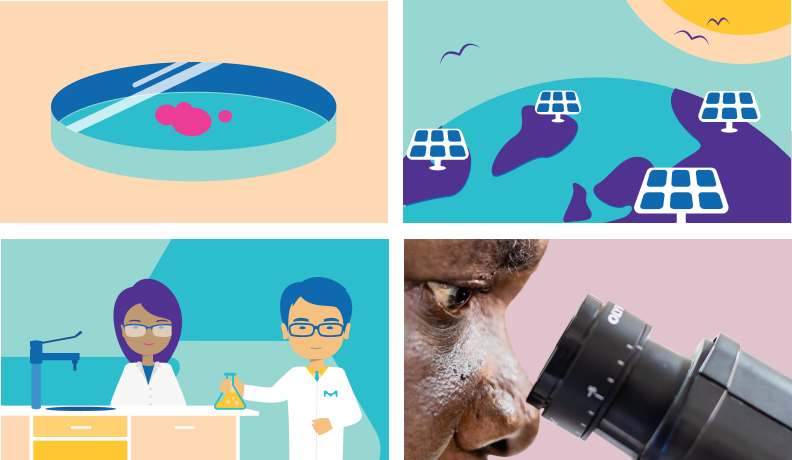 Four quadrants showing artistic representations of a Petri dish, solar panels, scientists in a lab, and a person looking into a microscope, respectively