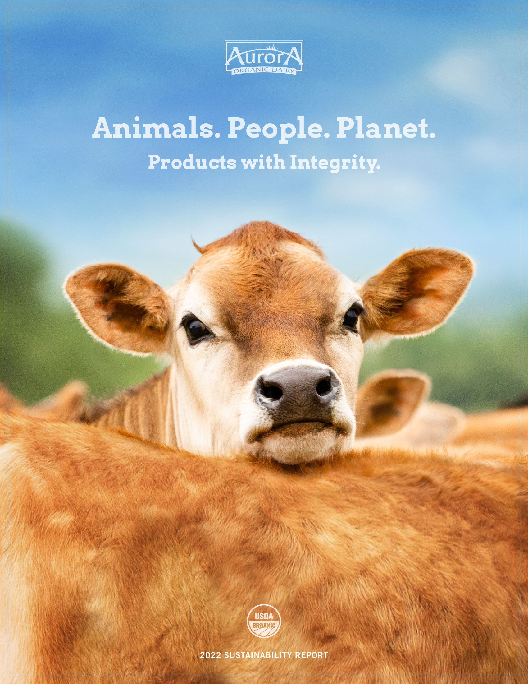 cow