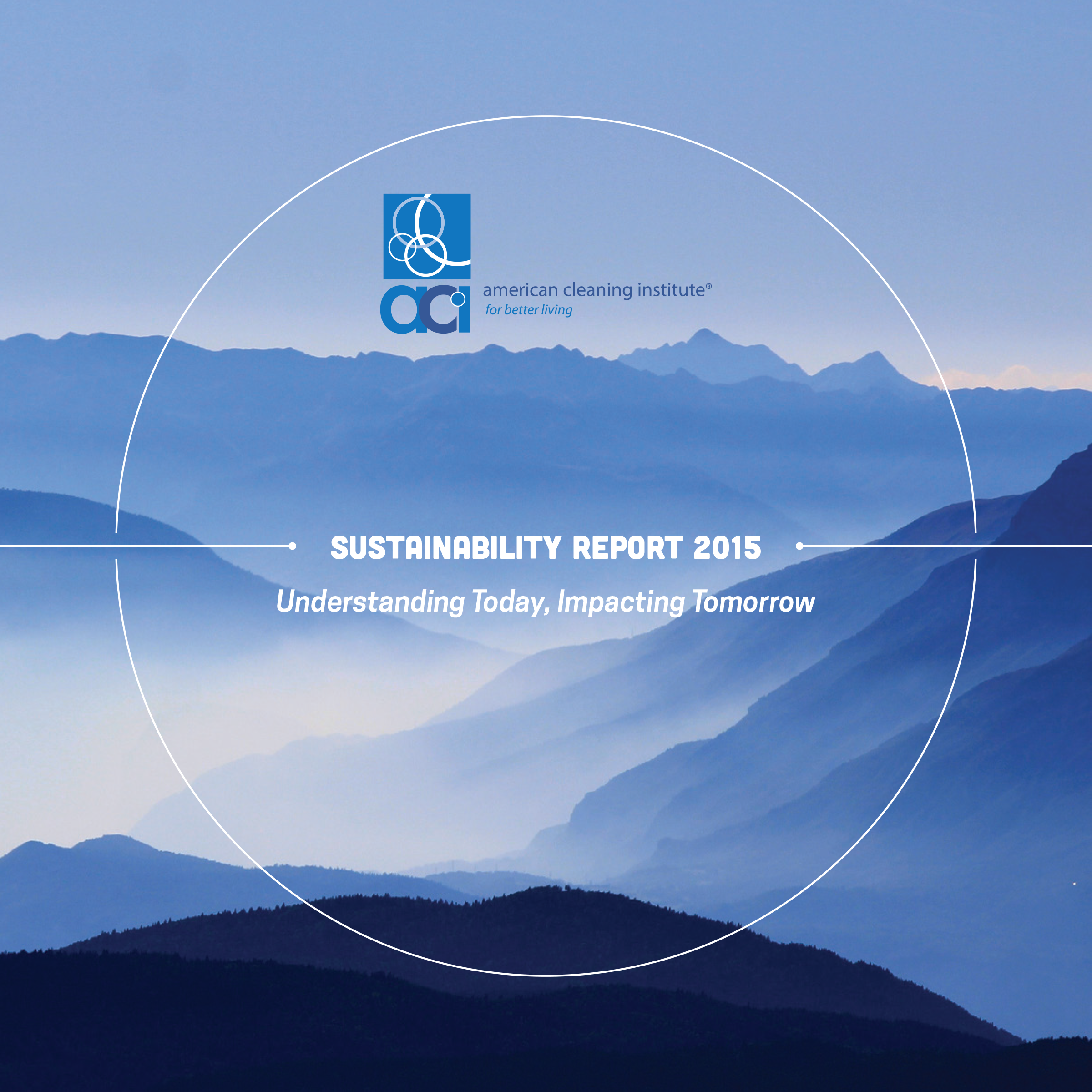 ACI Sustainability Report Cover Large_0.png