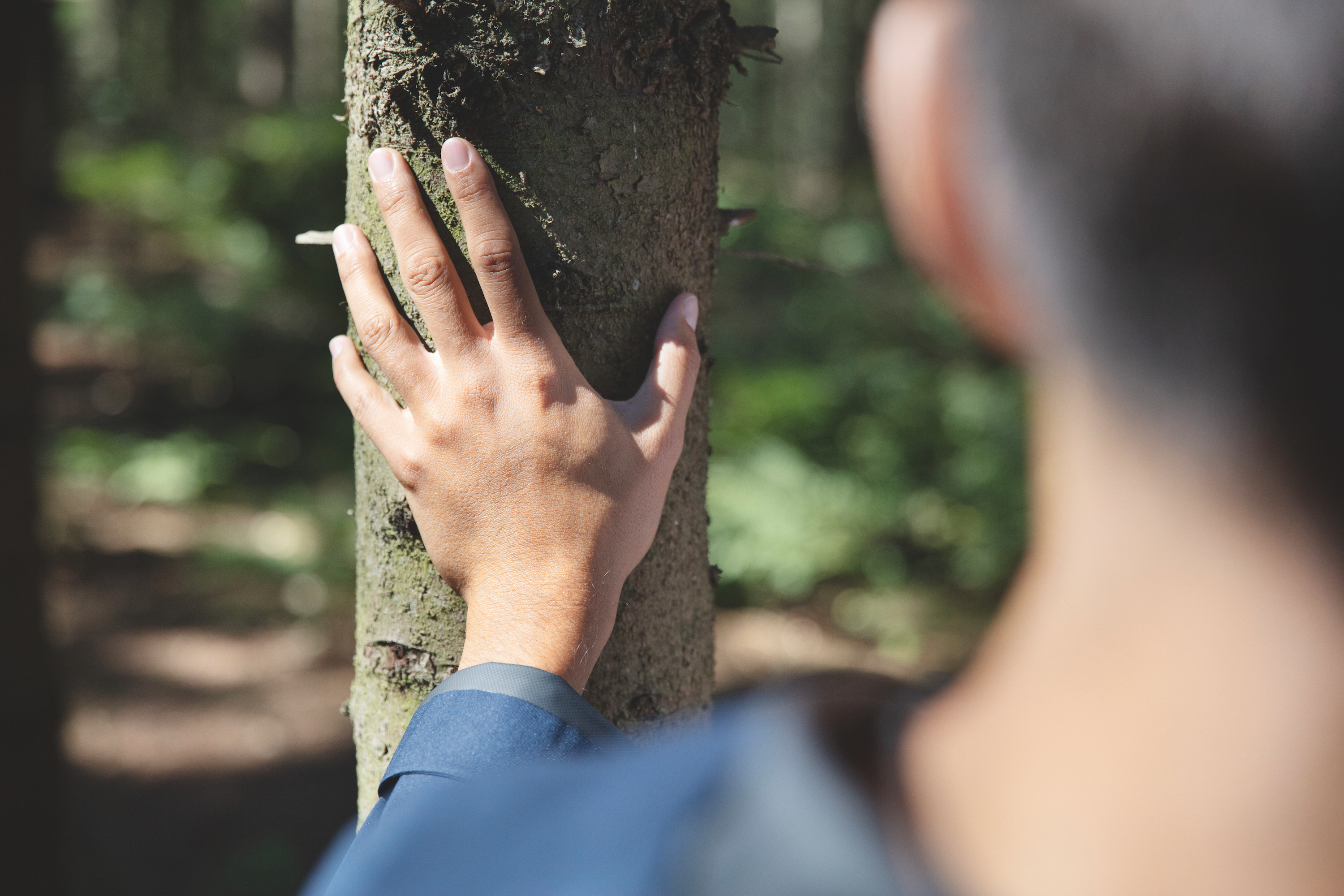Person holding their hand on a tree