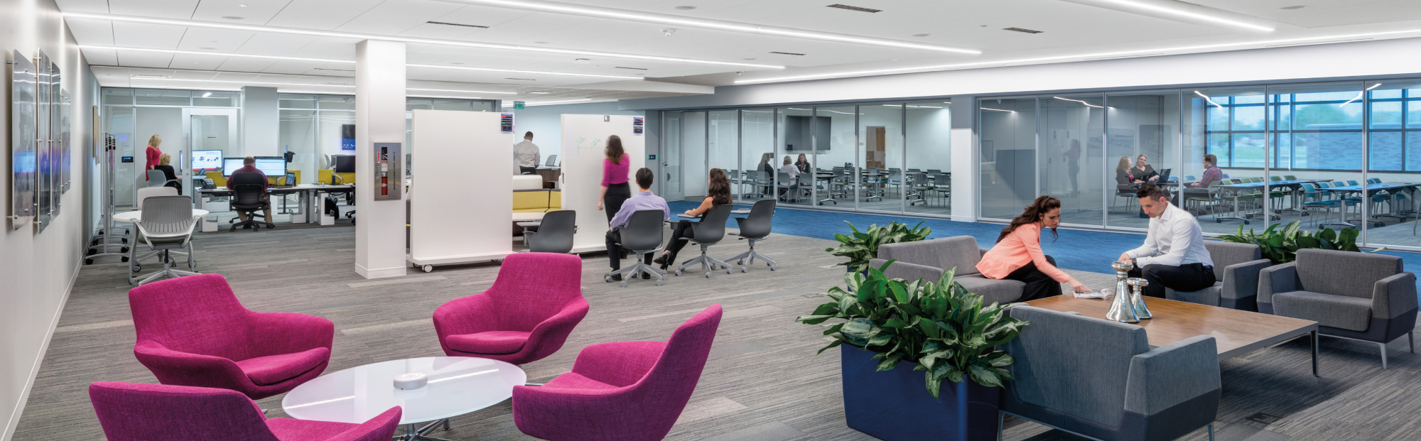 sustainable and healthy workspace